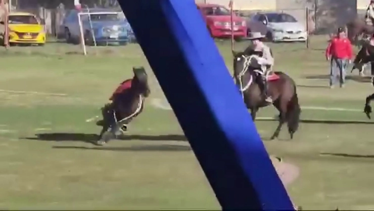 caballo-desbocado-chile