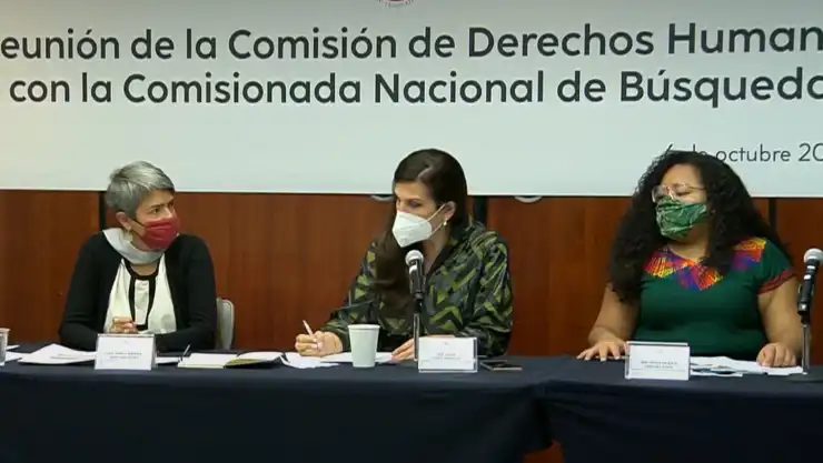 Desaparición de personas.jpeg