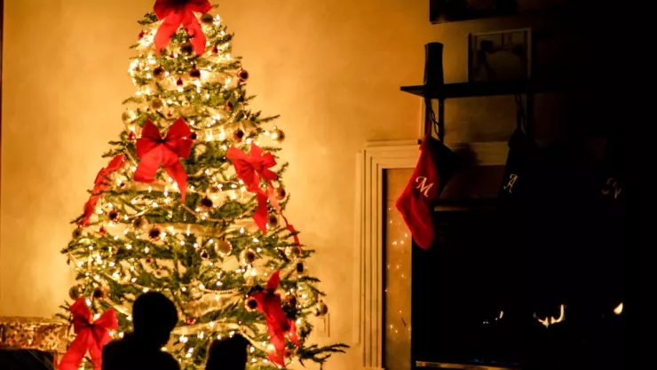 Tomas precauciones para evitar accidentes con las luces del árbol de navidad / Foto: Chris Benson