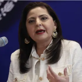 Mónica Soto: ¿Qué dice la Constitución sobre su renuncia?