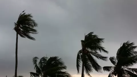 tormenta tropical lee se forma atlántico