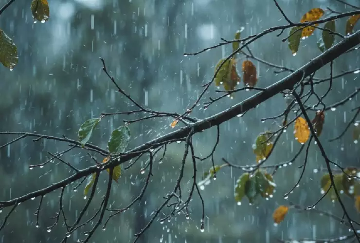 ¡Prevén ambiente frío y posibles heladas! ¿Habrá lluvias en Veracruz este lunes?