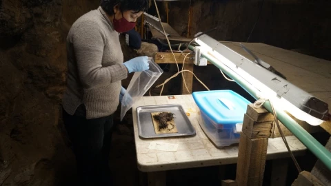 restauradora analiza ramo de flores.jpg