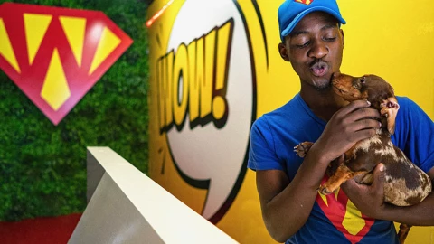 Hotel para perros seis estrellas en Sudáfrica desata polémica