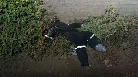 Reportan cuerpo decapitado en Chihuahua