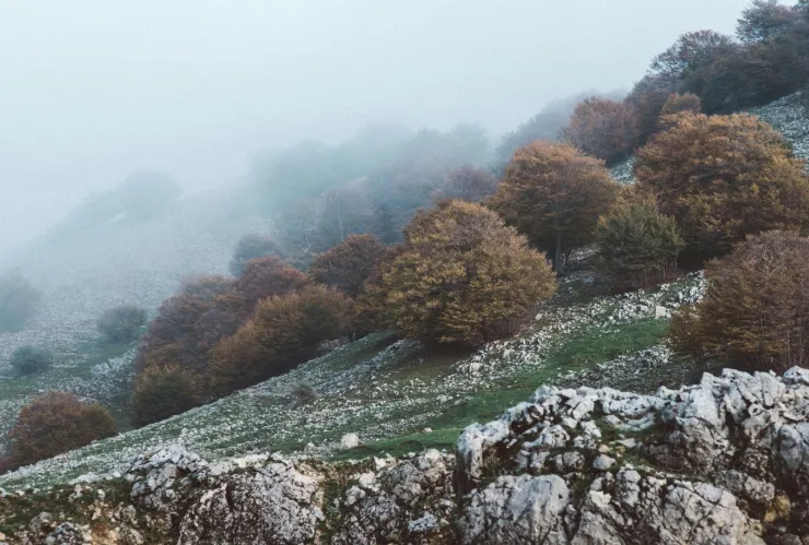 Clima Zacatecas ¿Cuántos frentes fríos habrá en noviembre y diciembre 2024