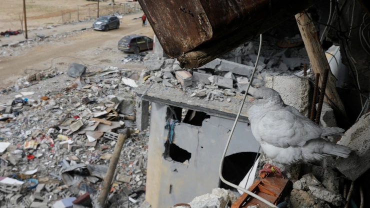 guerra-israel-hamas-28-noviembre-2023