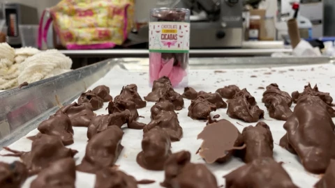 Cigarras ba&ntilde;adas en chocolate, la nueva sensaci&oacute;n.