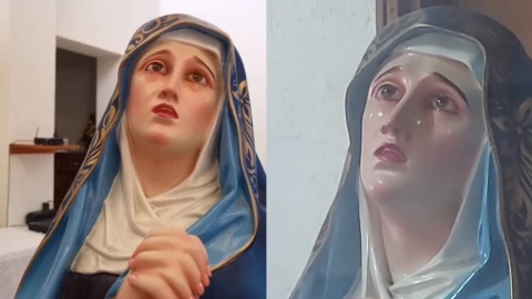 virgen-de-los-dolores-el-chanal-colima-videos