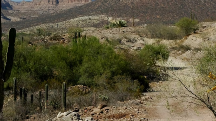 Más de 4 mil 400 desaparecidos en Baja California