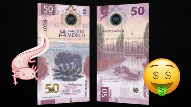 Billete de Ajolote se vende en un millón de pesos; este es su valor real