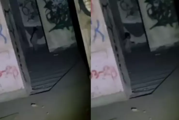 Niño captado en video