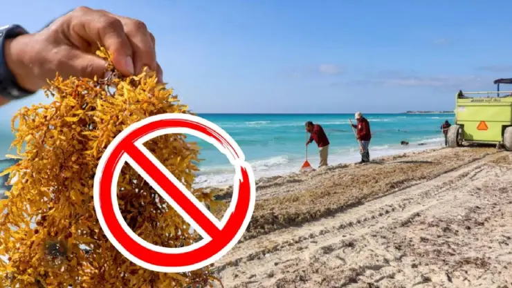 Playas libres de sargazo en Quintana Roo HOY 10 de septiembre de 2025: Lista desde Holbox, Cancún, Tulum a Xcalak