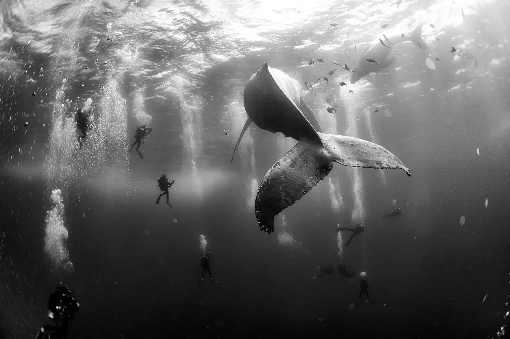Foto: World Press Photo