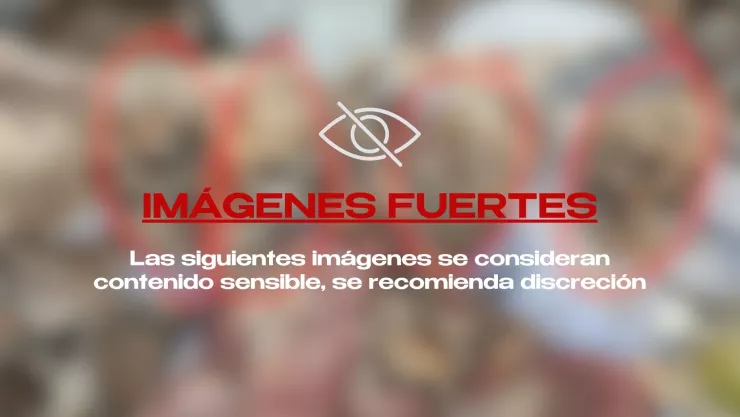 Madres encuentran más restos humanos en Ixtlahuacán de los Membrillos
