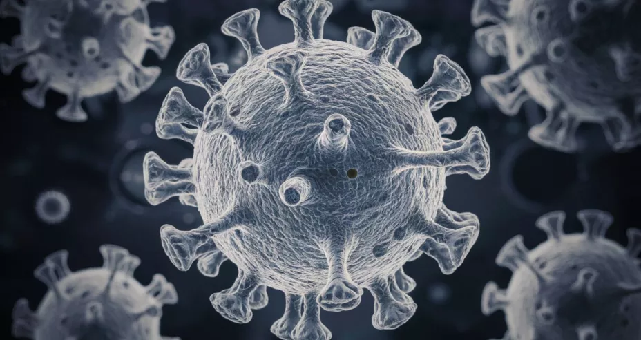 Alerta por contagios de virus Coxsackie cómo evitar contraerlo.jpg