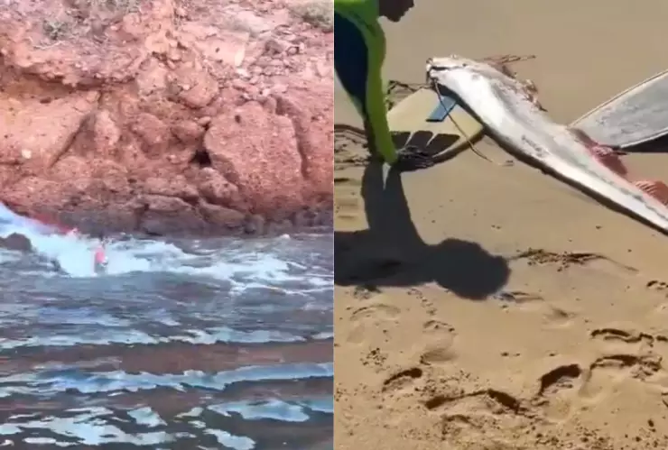 Peces Remo sismo 2025