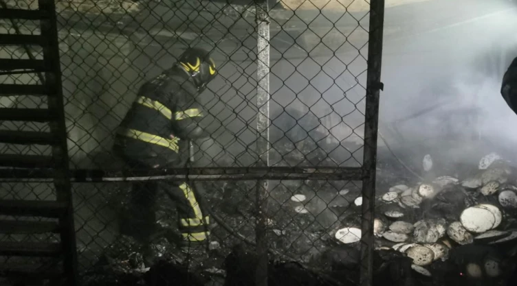 bomberos-incendio-tlalpan-panderia