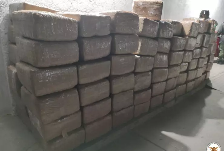 Decomisan 330 kilos de marihuana en Zacatecas