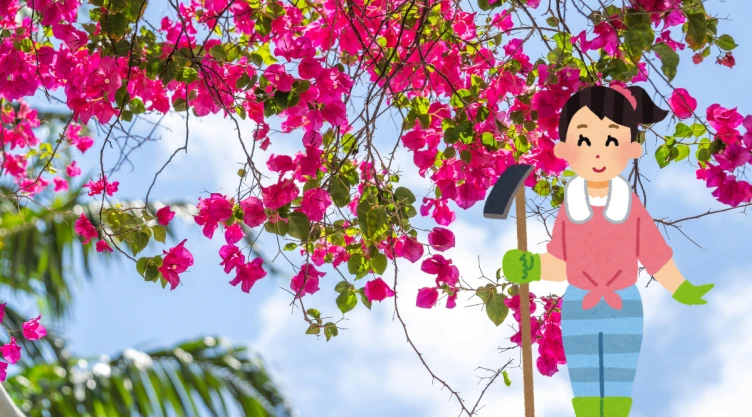 plantas.png