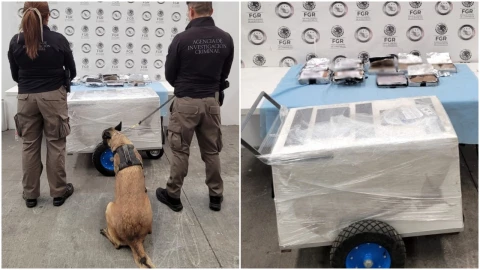 La droga fue hallada con ayuda de un perro de la FGR en Michoac&aacute;n.