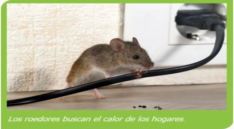 Horribles sorpresas navideñas.jpg