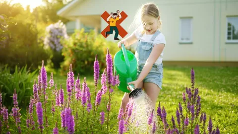 error regar plantas verano