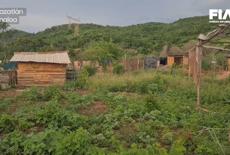 Familias en Sinaloa sufren desplazamiento forzado por la violencia