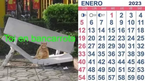 ¿Día 80? Por esta razón se siente que enero dura taaaaaanto; científicos lo explican