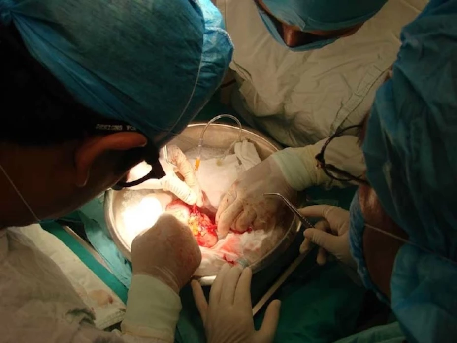 Un hombre falleció tras recibir un trasplante de riñón infectado con rabia