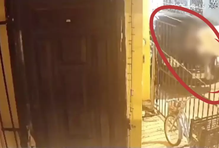 Iba por las calles de la Fidel Velázquez, vio una bicicleta y decidió ¡LLEVARSELA!; todo quedó grabado en video