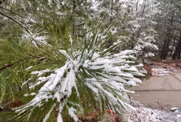 Primera nevada en carretera Mazatlán-Durango