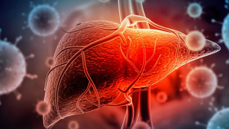 órganos afectados por la hepatitis