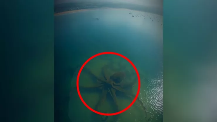 El dron captó una figura oscura de gran tamaño desplazándose bajo el mar