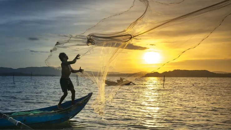 Temporada de pesca 2023-2024 en Sinaloa