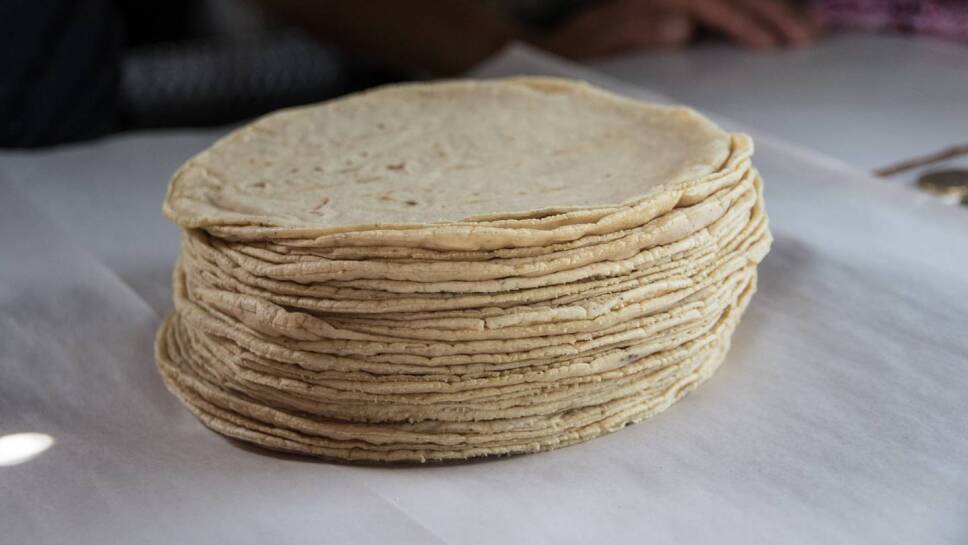 Precio del kilo de la tortilla