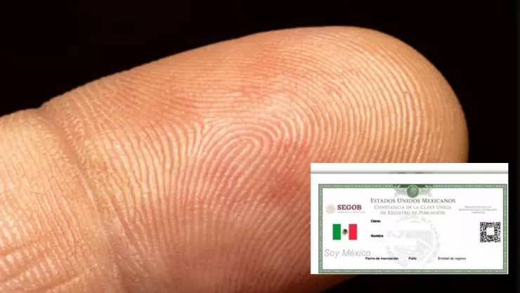 CURP con fotografia.jpg