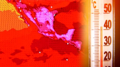 Calor extremo en México 2024