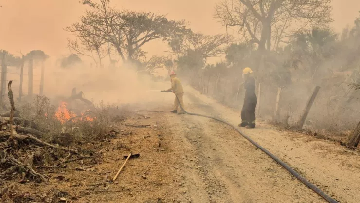 ¡Incendio forestal en Cabo Corrientes y Tomatlán, sin control! ¿Hay emergencia atmosférica HOY 24 de abril