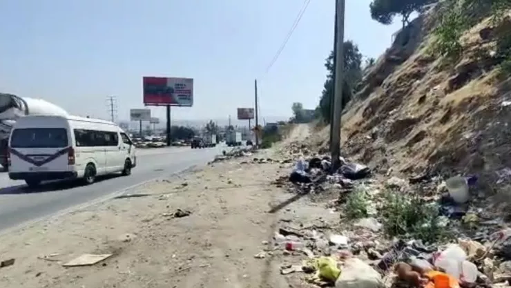 Rampa Rosas Magallón