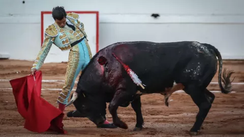 Congreso de CDMX recibe más de 30 mil firmas a favor de las corridas de toros