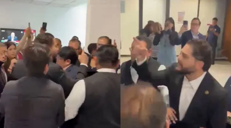 caámara diputados