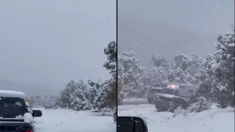 Avalancha en Las Vegas