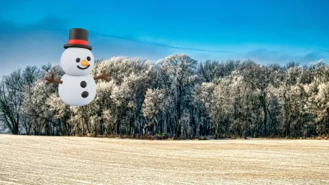 Aire ártico en México 2025 Lista de los estados con temperaturas bajo cero y caída de nieve el 31 de diciembre