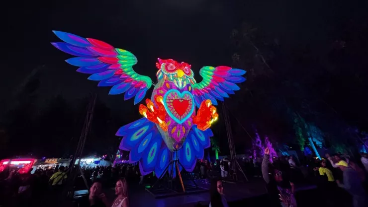 Precios en el EDC 2025