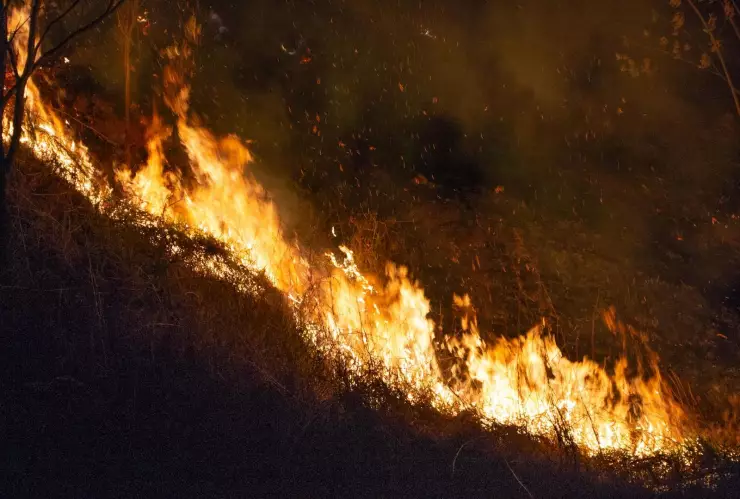 Incendio forestal de noche
