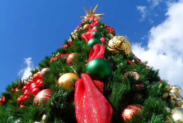 Clima Guerrero hoy 16 de diciembre de 2024_ El pronóstico del tiempo para el estado.jpg