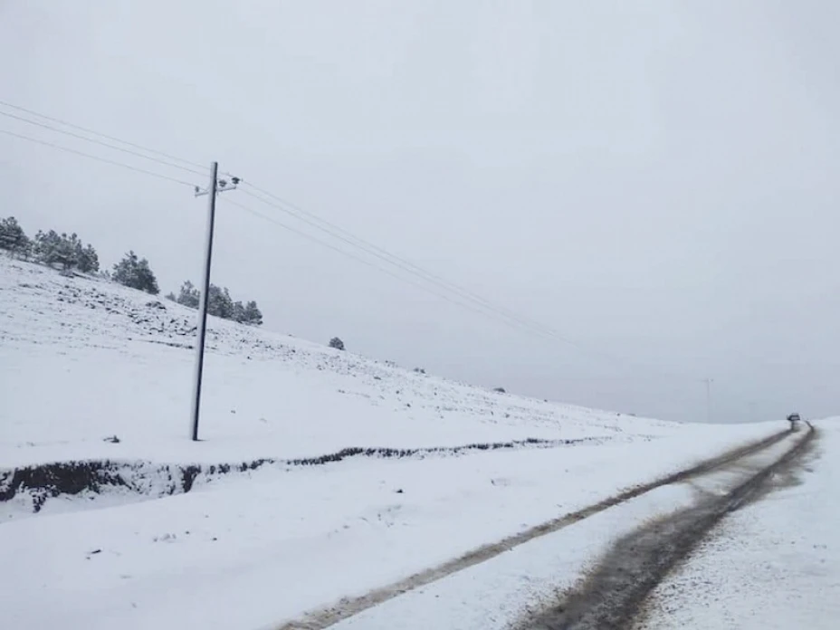 nieve