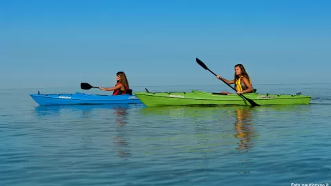 kayak