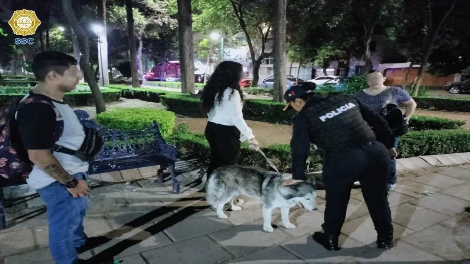 SSC 2 26 de junio.jpg